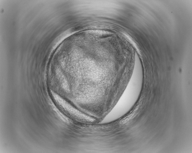 X0000087370803200705111709