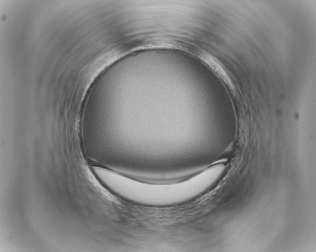 X0000087370805200705111709