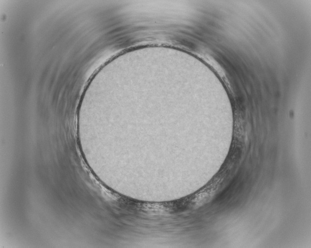 X0000087370807200705111709