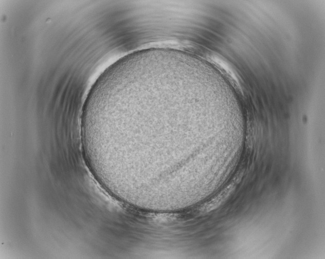 X0000087370808200705111709