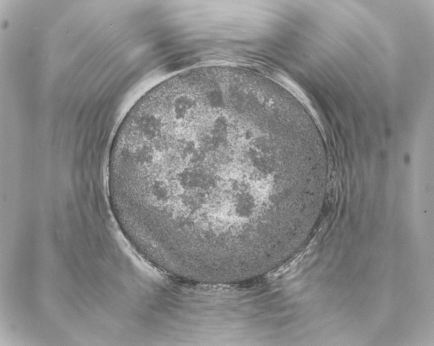 X0000087370811200705111709