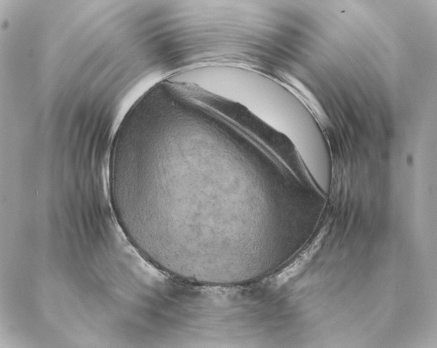 X0000087370812200705111709