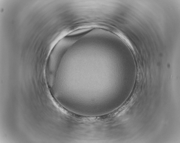 X0000087370813200705111709