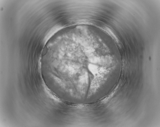 X0000087370814200705111709