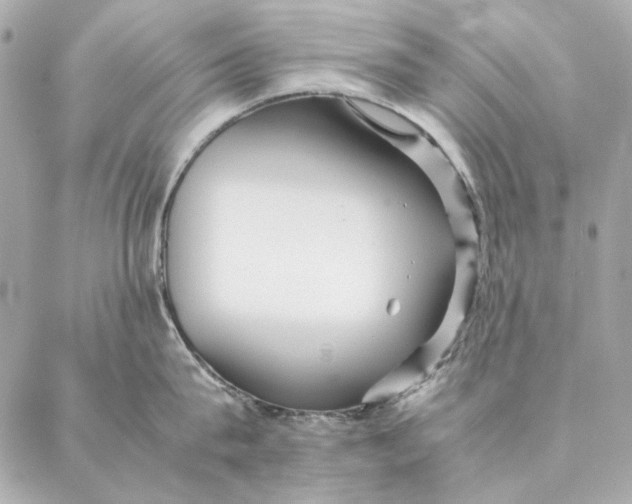 X0000087370815200705111709