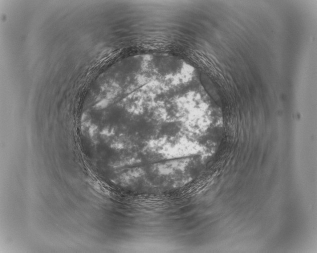 X0000087370817200705111708