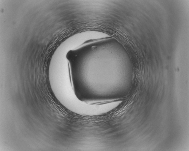 X0000087370818200705111708