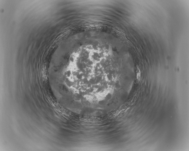 X0000087370819200705111708