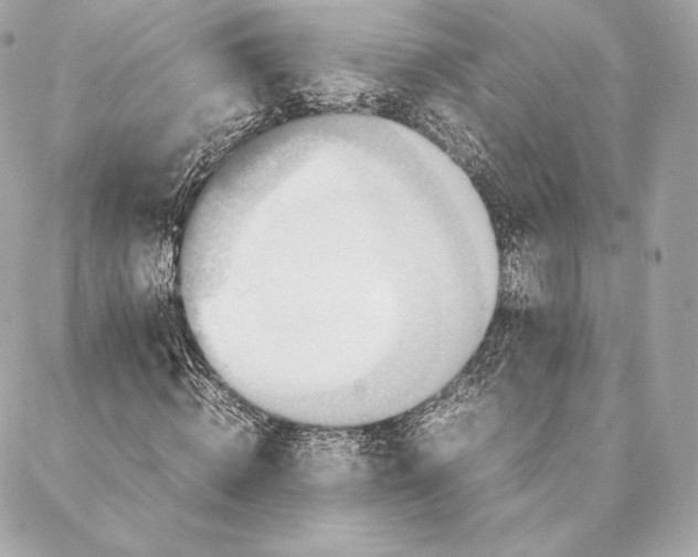 X0000087370820200705111708