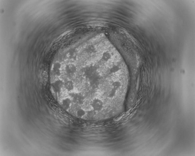 X0000087370821200705111708