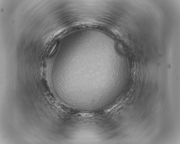 X0000087370822200705111708