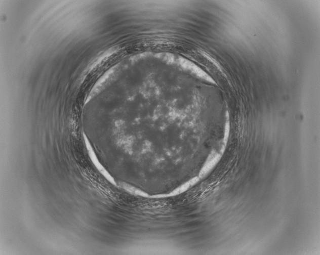 X0000087370823200705111708