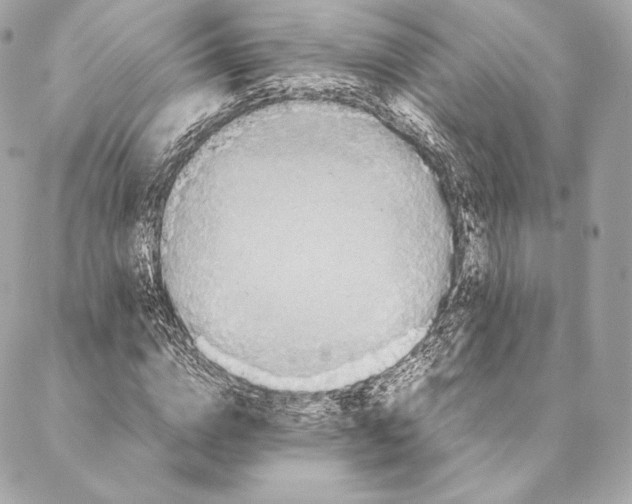 X0000087370824200705111708