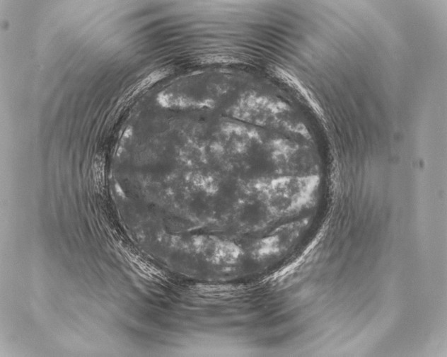 X0000087370825200705111708