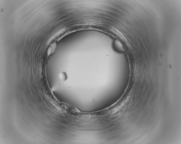 X0000087370826200705111708