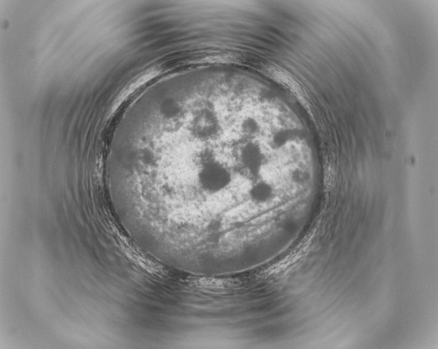 X0000087370827200705111708