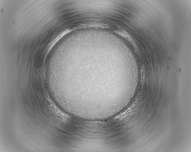 X0000087370828200705111708