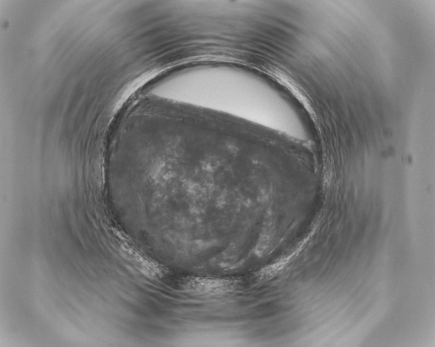 X0000087370829200705111708