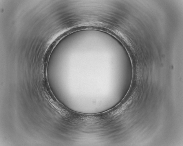 X0000087370830200705111708