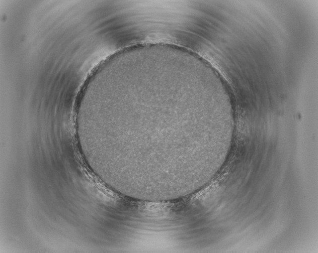 X0000087370832200705111708