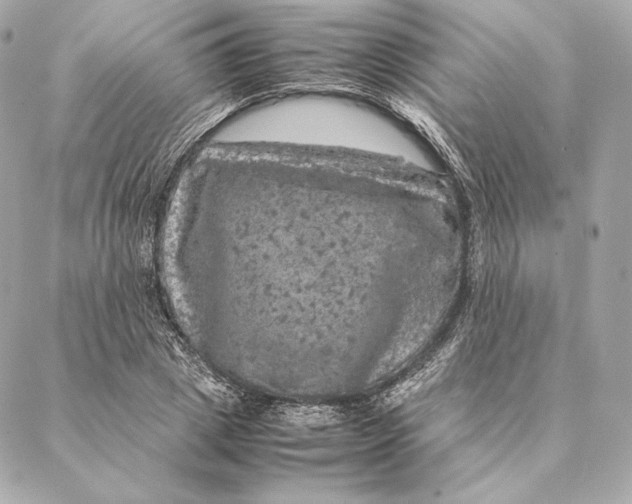 X0000087370833200705111708