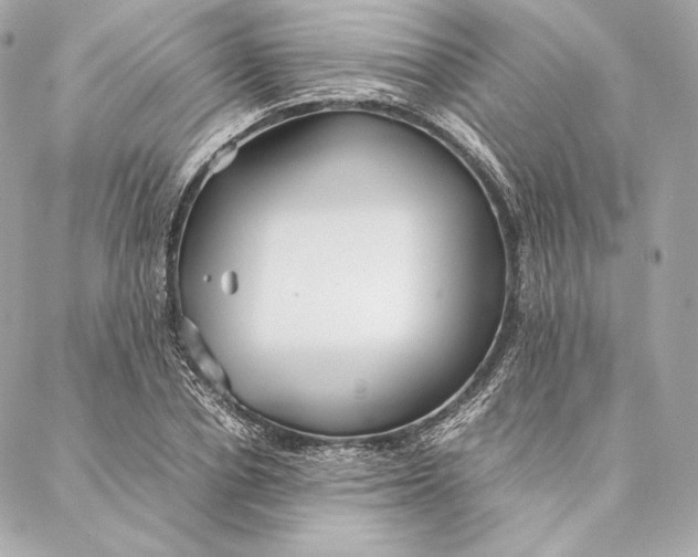 X0000087370834200705111708