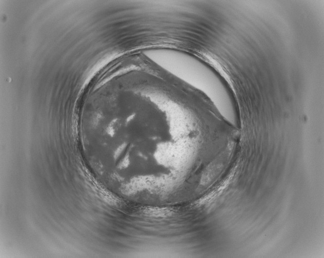 X0000087370835200705111708