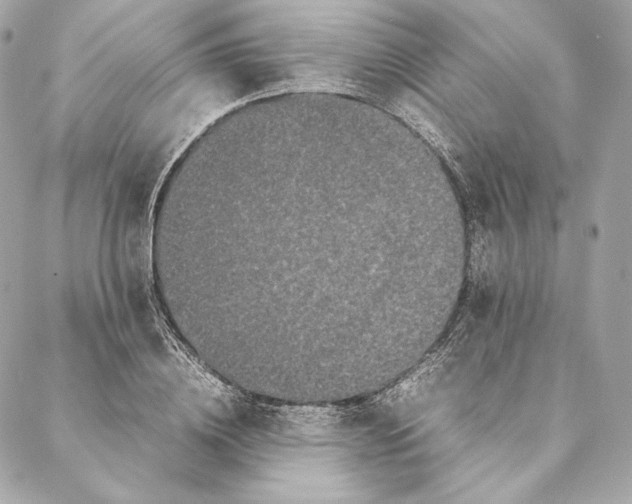 X0000087370836200705111708