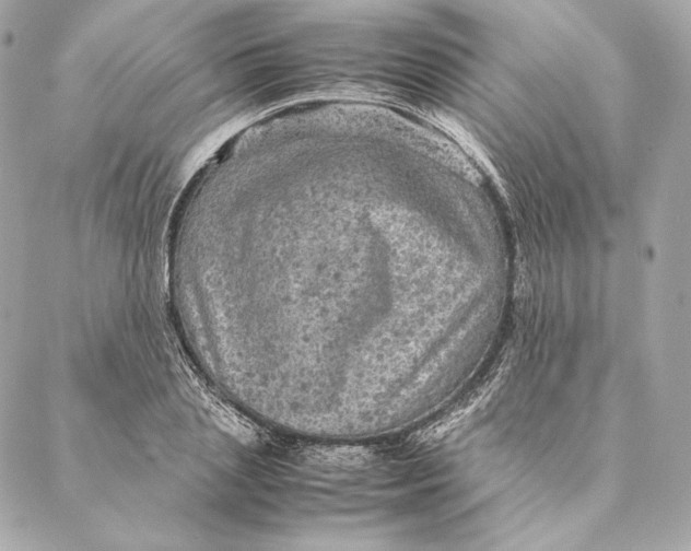 X0000087370837200705111708