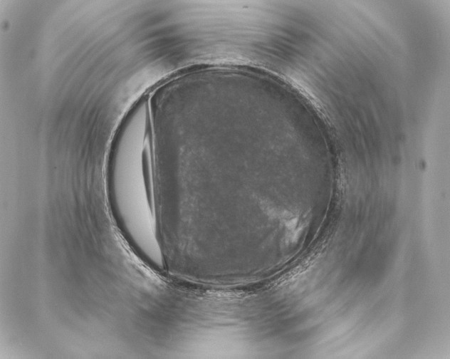 X0000087370840200705111708