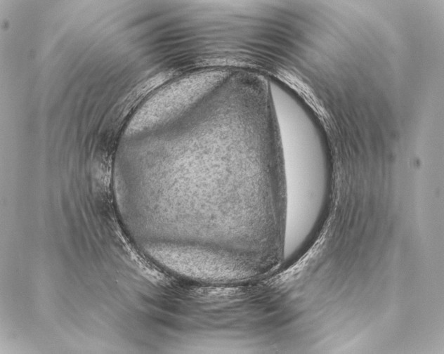 X0000087370841200705111708