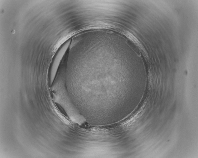 X0000087370842200705111708