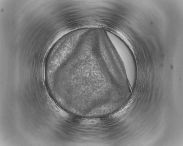 X0000087370843200705111708