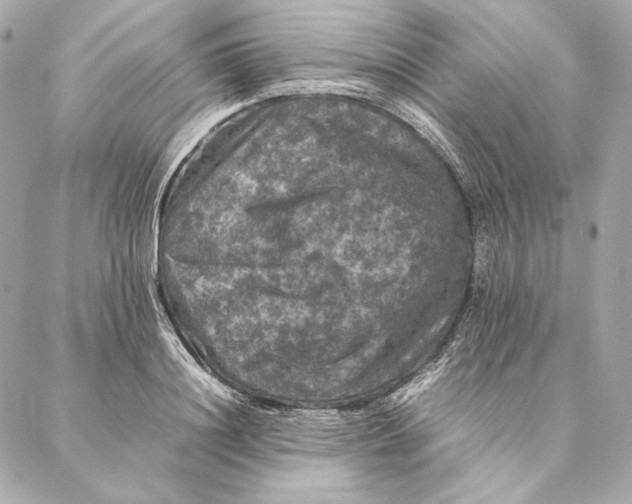 X0000087370844200705111708