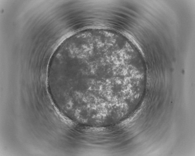 X0000087370845200705111708