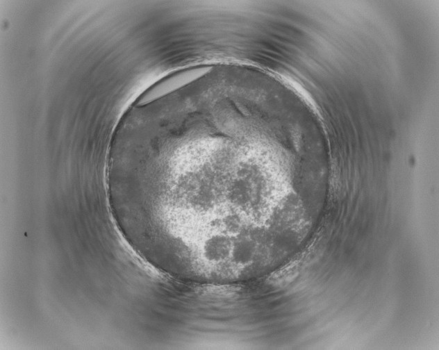 X0000087370847200705111708