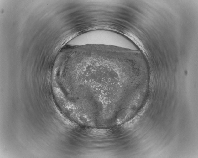 X0000087370849200705111708