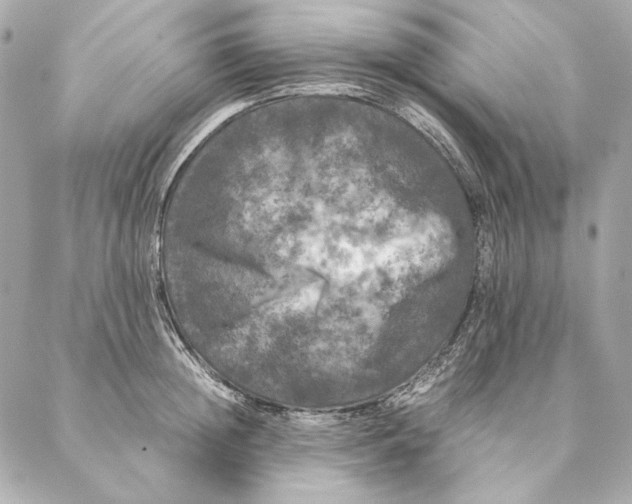 X0000087370852200705111708