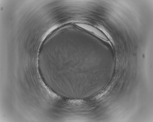 X0000087370853200705111708