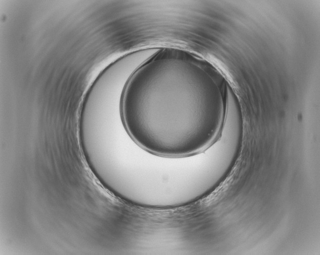 X0000087370854200705111708