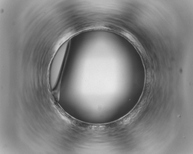 X0000087370858200705111708