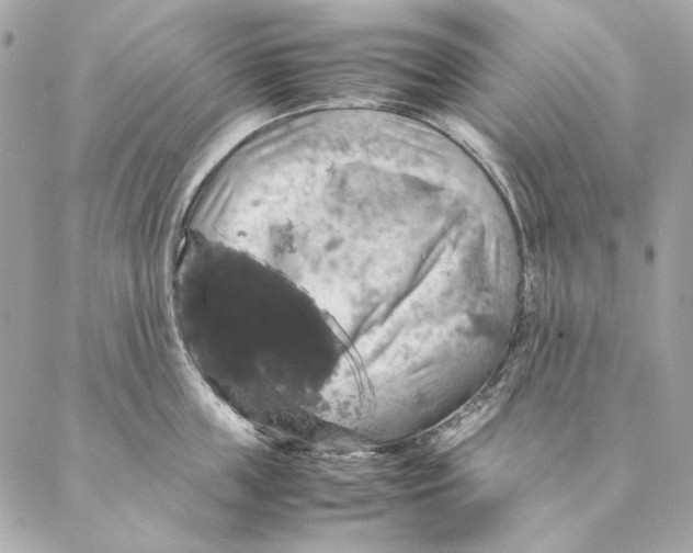 X0000087370859200705111708