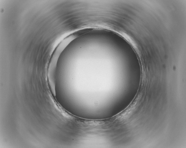 X0000087370862200705111708