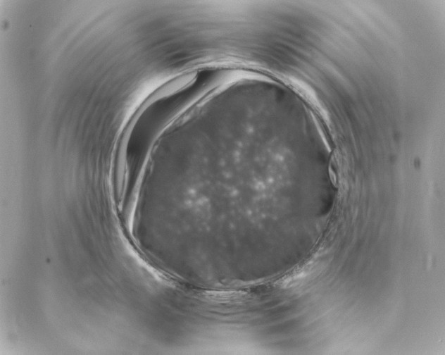 X0000087370863200705111708