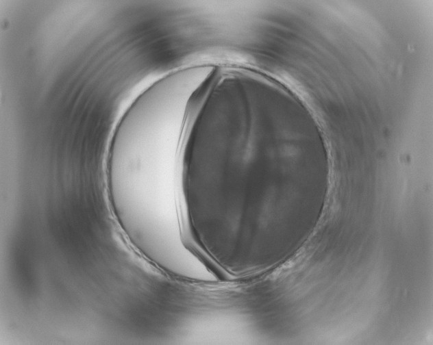 X0000087370864200705111708