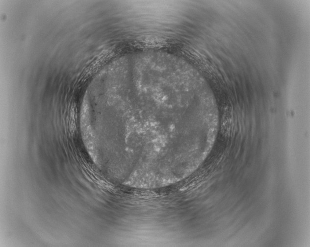 X0000087370866200705111708