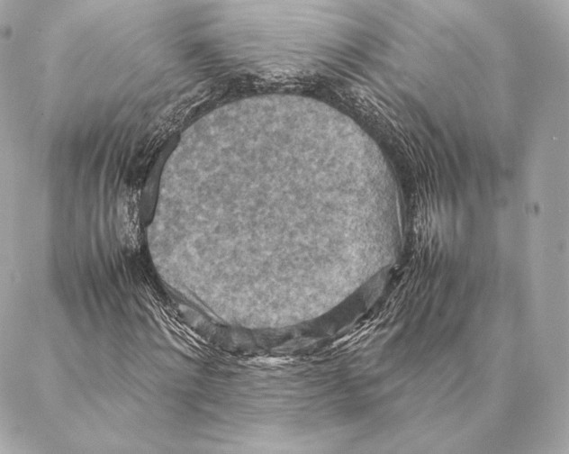 X0000087370868200705111708