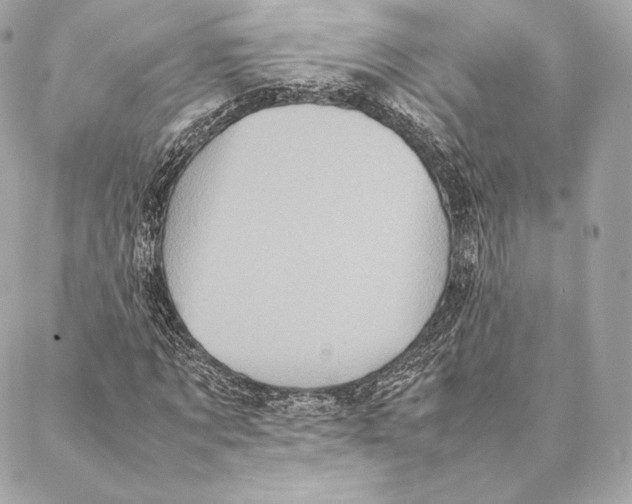 X0000087370869200705111708