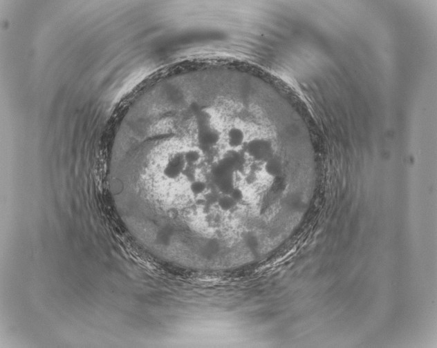 X0000087370871200705111708