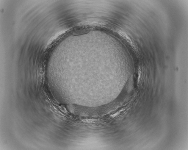 X0000087370872200705111708